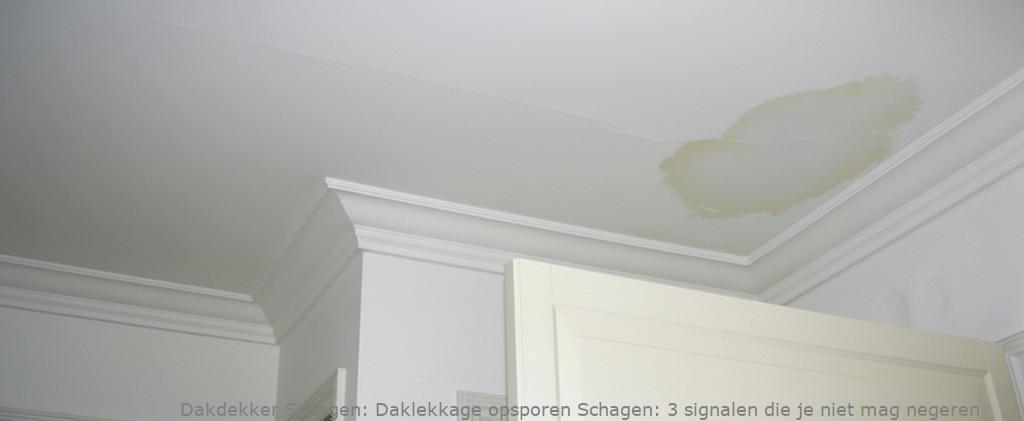 Daklekkage Opsporen Schagen 1