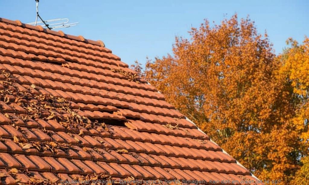 Dakrenovatie In Herfst Schagen