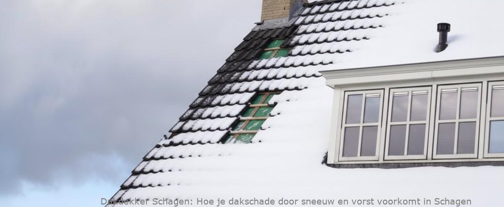 Schade Door Sneeuw En Vorst Schagen